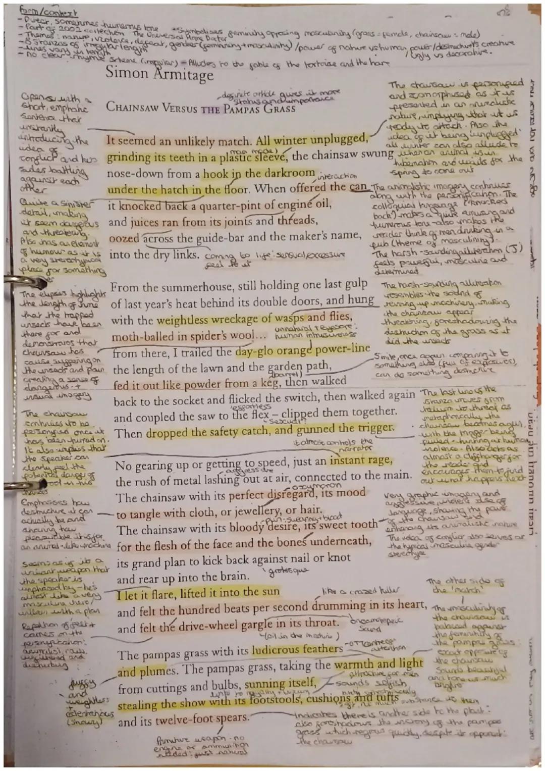 Chainsaw Versus the Pampas Grass Annotations 