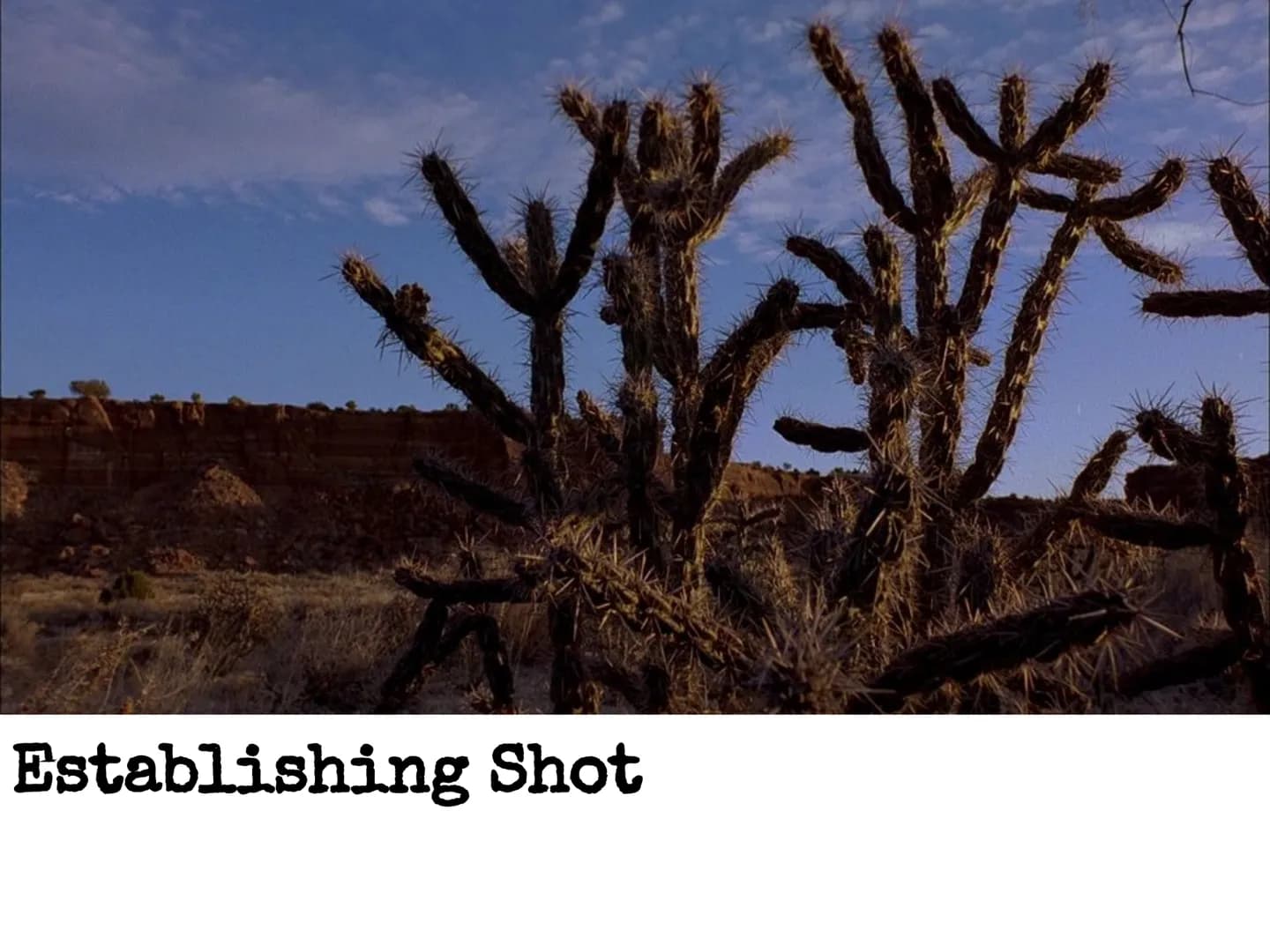 Close Up Long Shot Medium Shot Two Shot Establishing Shot Low Angle High Angle ਦੇ
Canted Angle