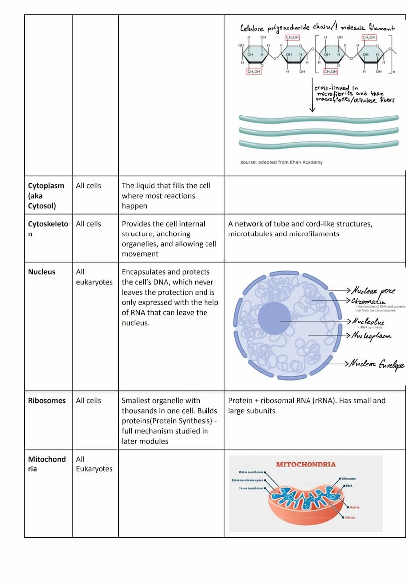 
<h2 id="cellstructureeukaryotesprokaryotesandviruses">Cell Structure - Eukaryotes, Prokaryotes, and Viruses</h2>
<h3 id="requirementsandcla