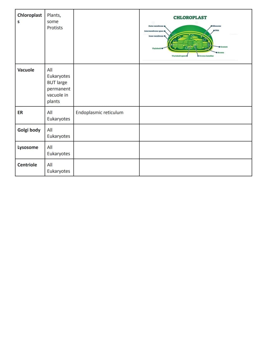 
<h2 id="cellstructureeukaryotesprokaryotesandviruses">Cell Structure - Eukaryotes, Prokaryotes, and Viruses</h2>
<h3 id="requirementsandcla