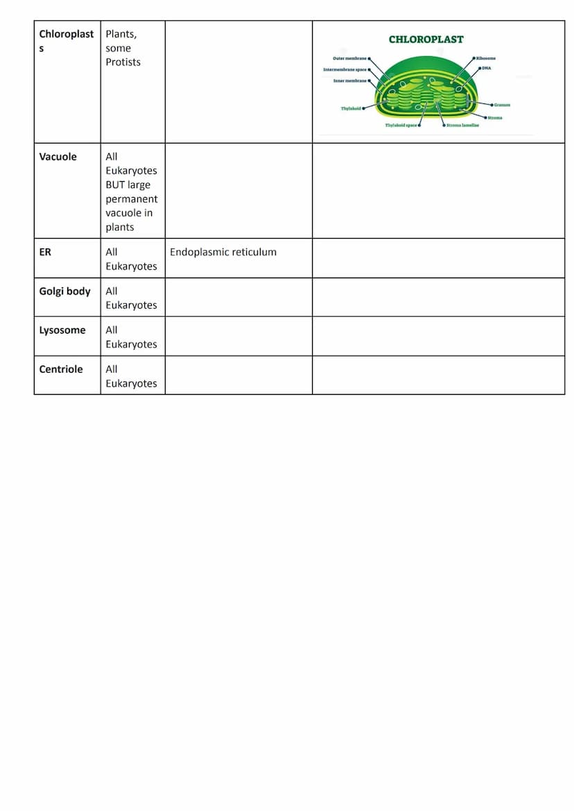 
<h2 id="cellstructureeukaryotesprokaryotesandviruses">Cell Structure - Eukaryotes, Prokaryotes, and Viruses</h2>
<h3 id="requirementsandcla