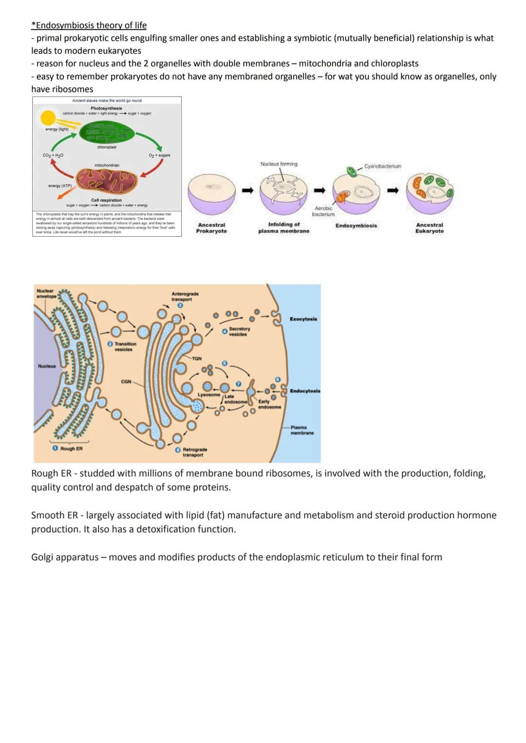 
<h2 id="cellstructureeukaryotesprokaryotesandviruses">Cell Structure - Eukaryotes, Prokaryotes, and Viruses</h2>
<h3 id="requirementsandcla