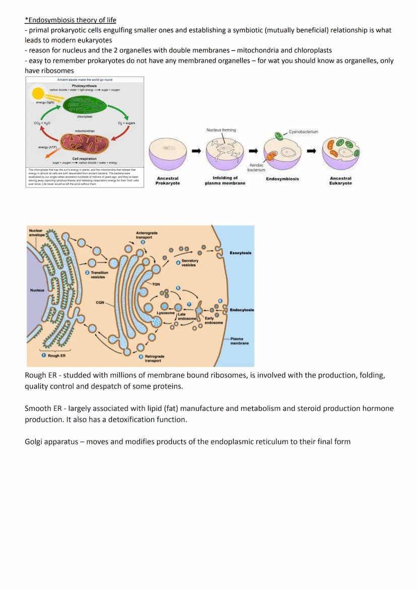 
<h2 id="cellstructureeukaryotesprokaryotesandviruses">Cell Structure - Eukaryotes, Prokaryotes, and Viruses</h2>
<h3 id="requirementsandcla
