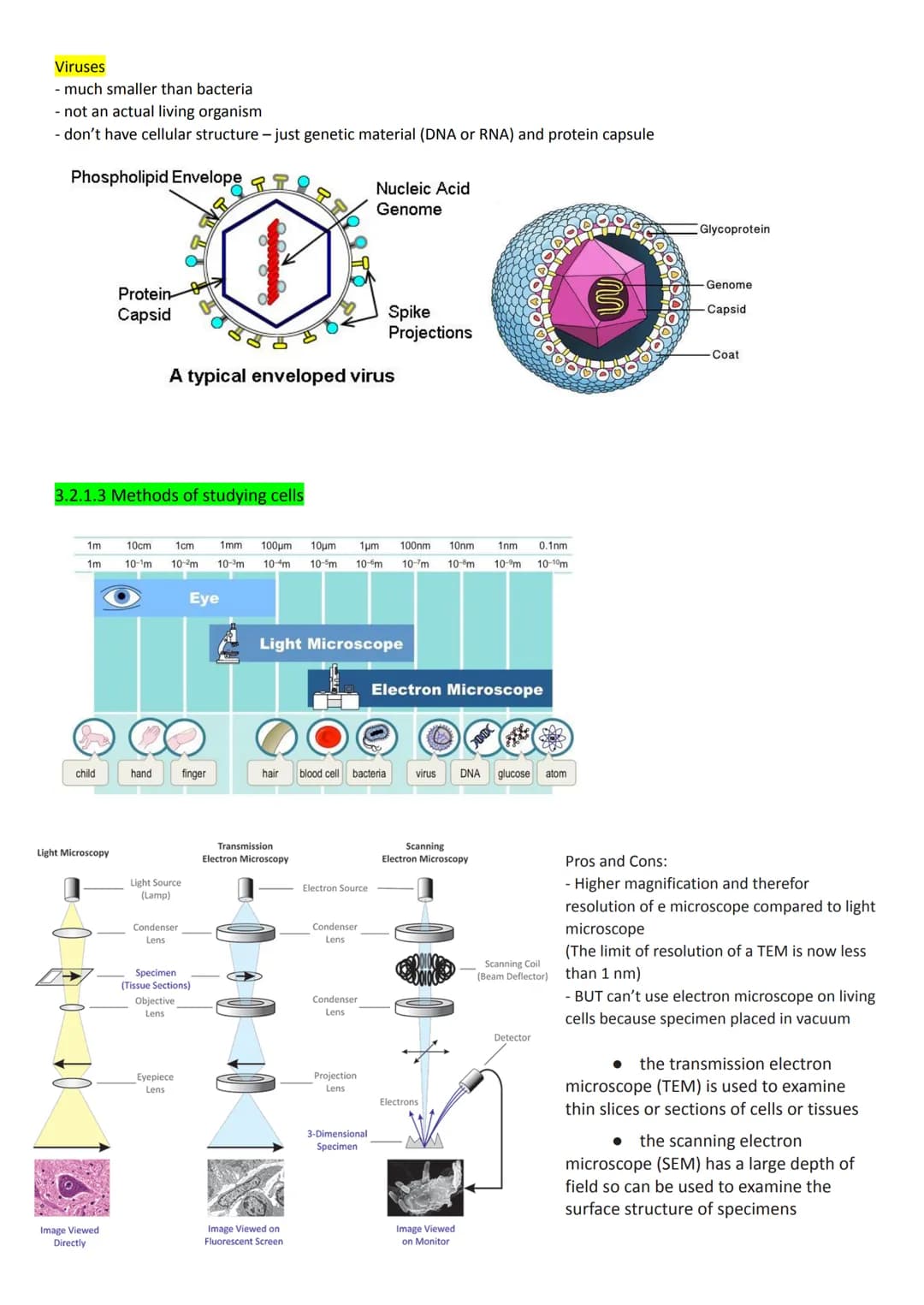 
<h2 id="cellstructureeukaryotesprokaryotesandviruses">Cell Structure - Eukaryotes, Prokaryotes, and Viruses</h2>
<h3 id="requirementsandcla