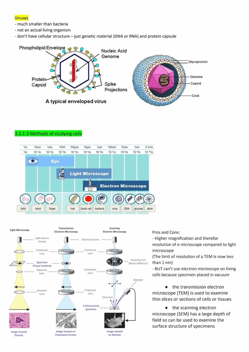 
<h2 id="cellstructureeukaryotesprokaryotesandviruses">Cell Structure - Eukaryotes, Prokaryotes, and Viruses</h2>
<h3 id="requirementsandcla