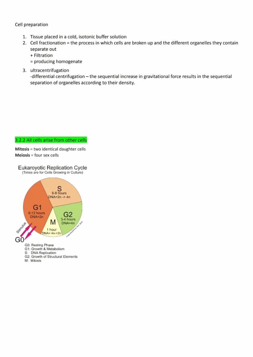 
<h2 id="cellstructureeukaryotesprokaryotesandviruses">Cell Structure - Eukaryotes, Prokaryotes, and Viruses</h2>
<h3 id="requirementsandcla