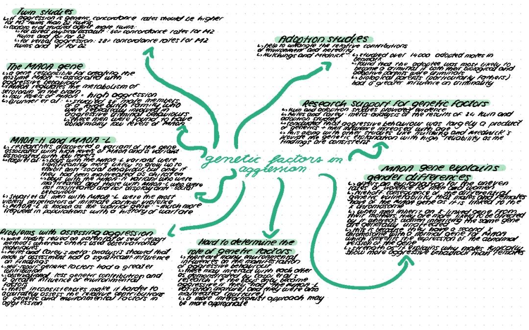 Genetic factors in aggression