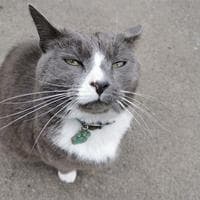 user profile picture