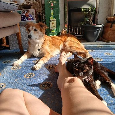 user profile picture