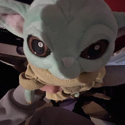 user profile picture