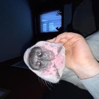 user profile picture