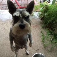 user profile picture