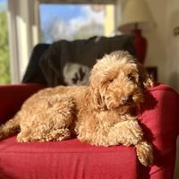 user profile picture