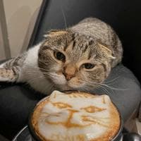 user profile picture