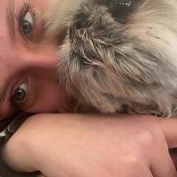 user profile picture