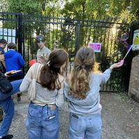 user profile picture