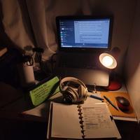 user profile picture