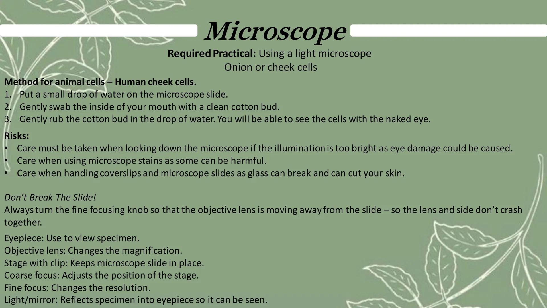 # Microscope
Eyepiece
Coarse focus
Objective lenses
Fine focus
Stage clip
Arm
An electron microscope has much higher magnification an