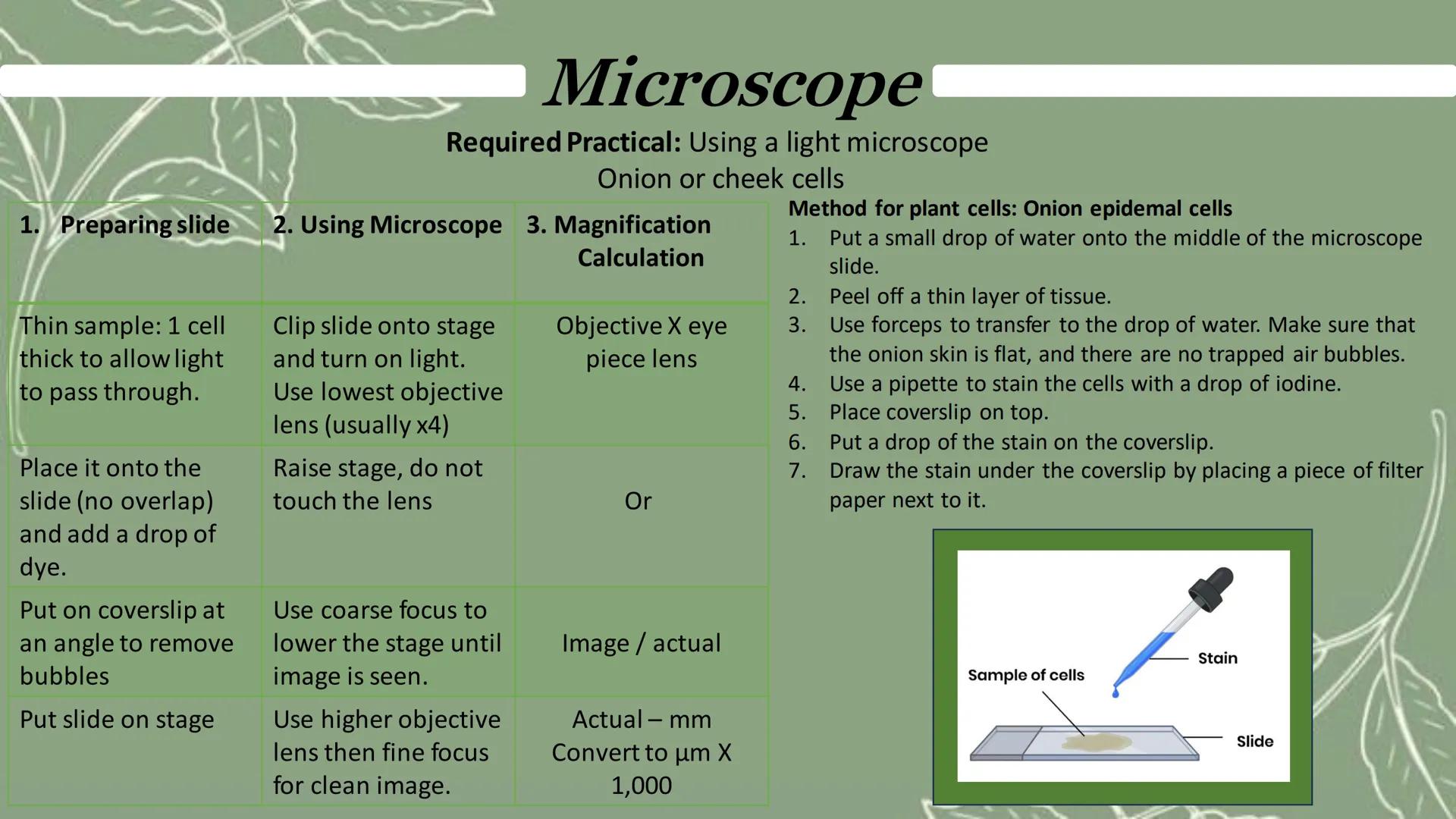 # Microscope
Eyepiece
Coarse focus
Objective lenses
Fine focus
Stage clip
Arm
An electron microscope has much higher magnification an