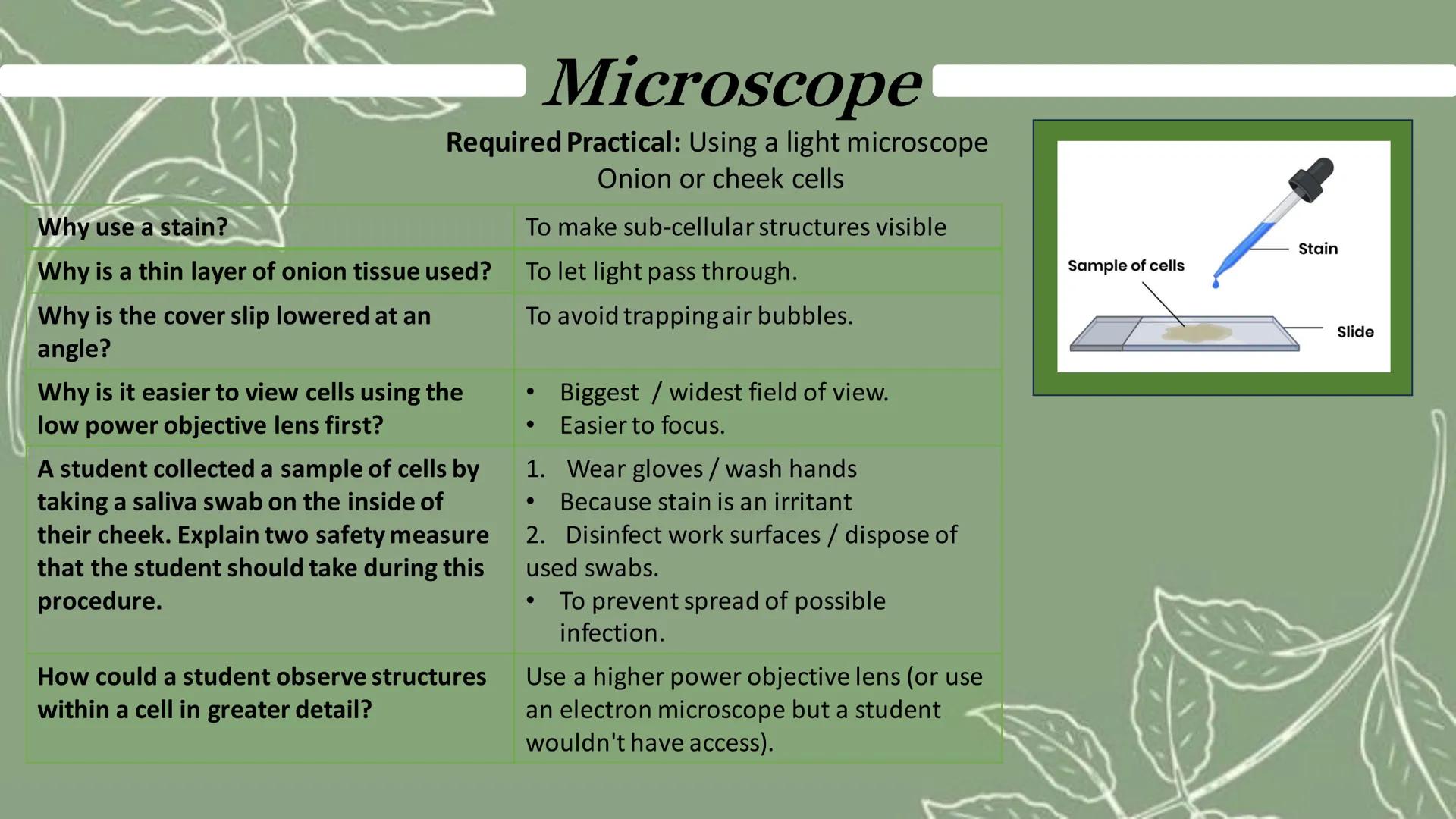 # Microscope
Eyepiece
Coarse focus
Objective lenses
Fine focus
Stage clip
Arm
An electron microscope has much higher magnification an
