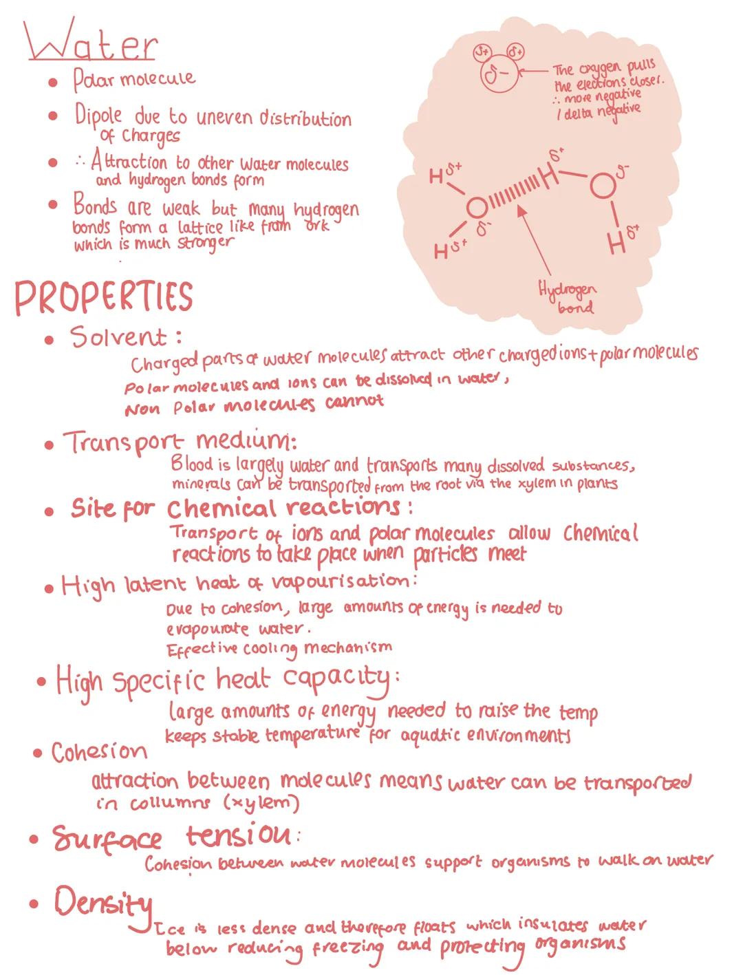 ●
●
Inorganic ions.
All organisms need inorganic ions to survive
micronutrients: minerals needed in minute
concentrations eg copper, zinc
•