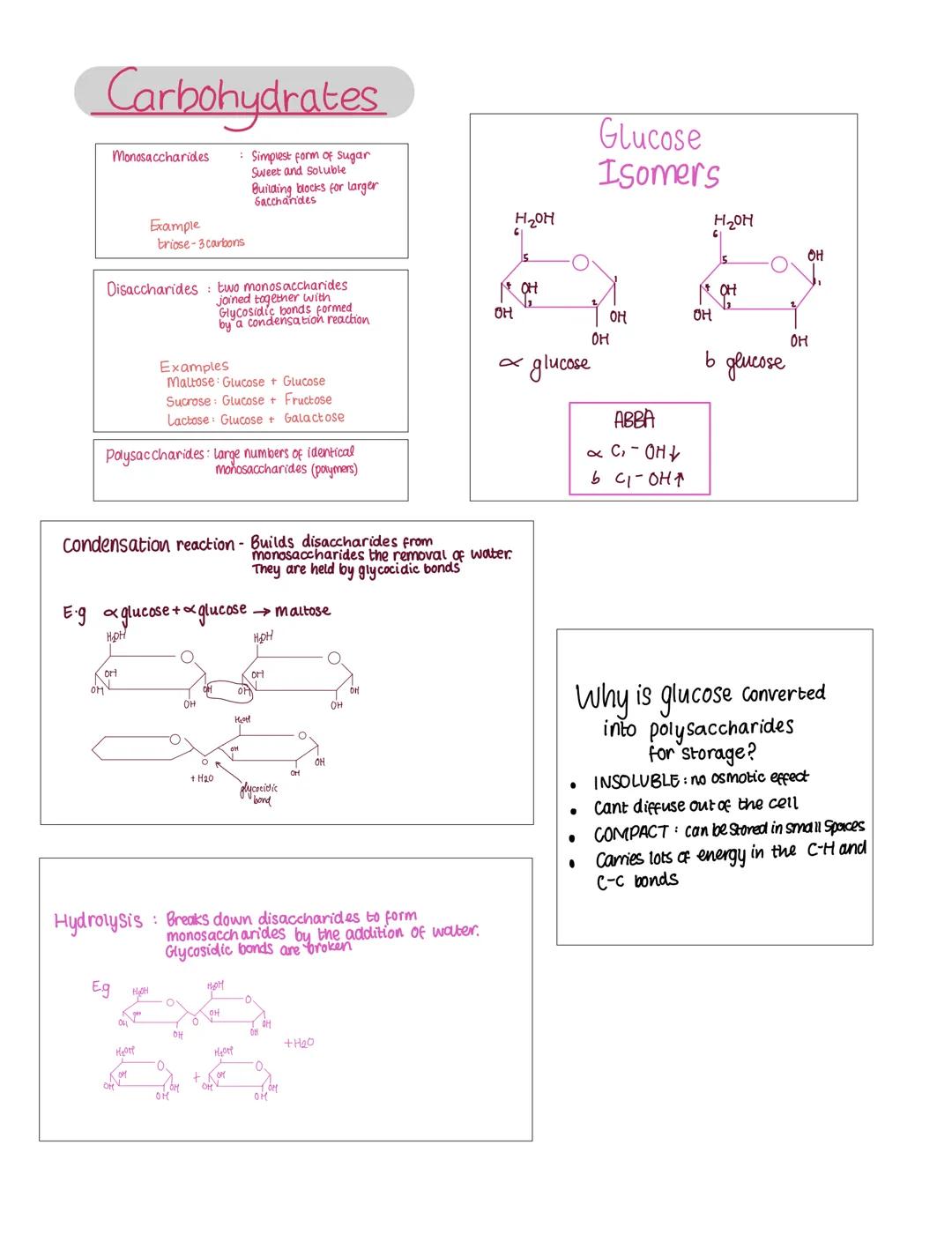 ●
●
Inorganic ions.
All organisms need inorganic ions to survive
micronutrients: minerals needed in minute
concentrations eg copper, zinc
•
