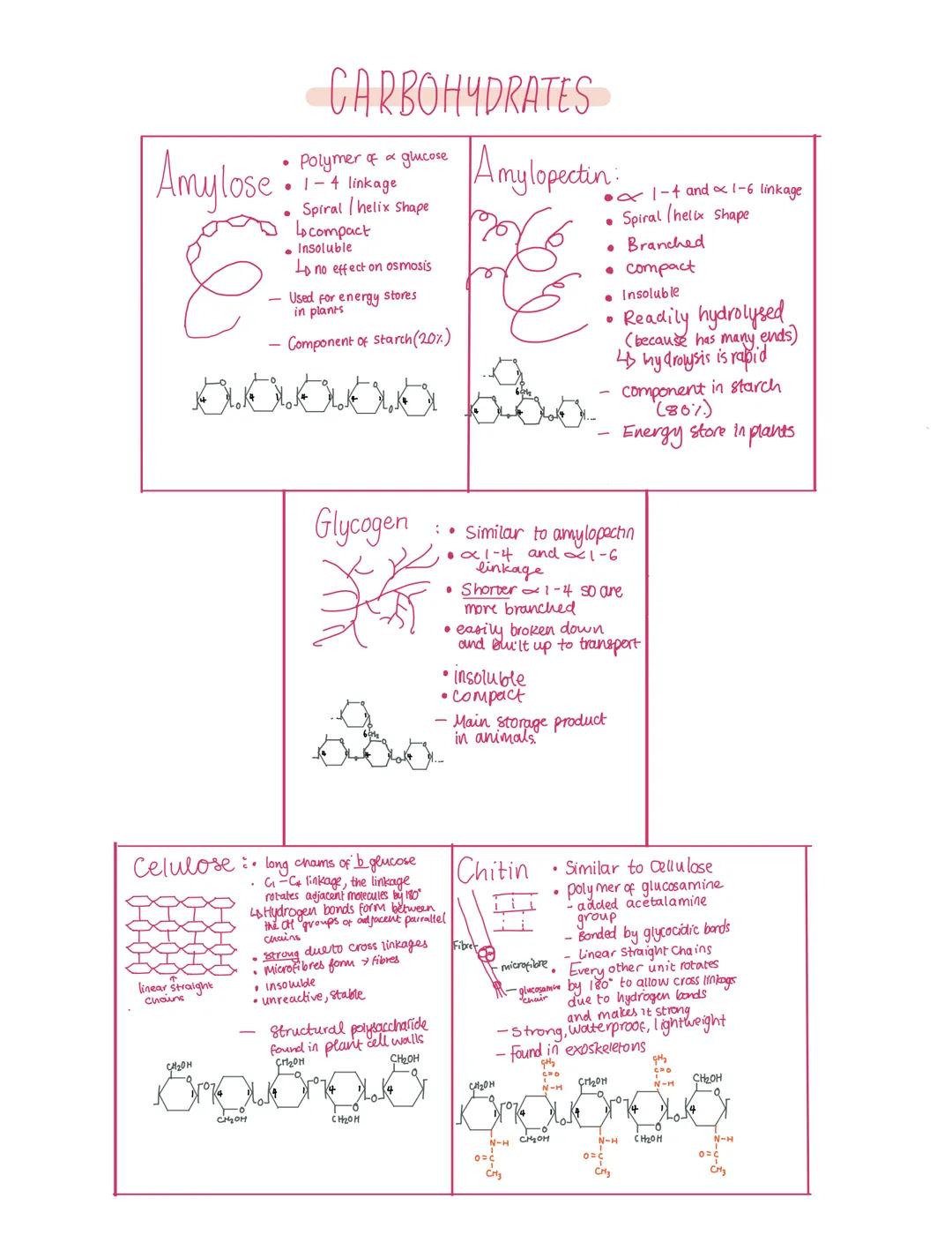 ●
●
Inorganic ions.
All organisms need inorganic ions to survive
micronutrients: minerals needed in minute
concentrations eg copper, zinc
•