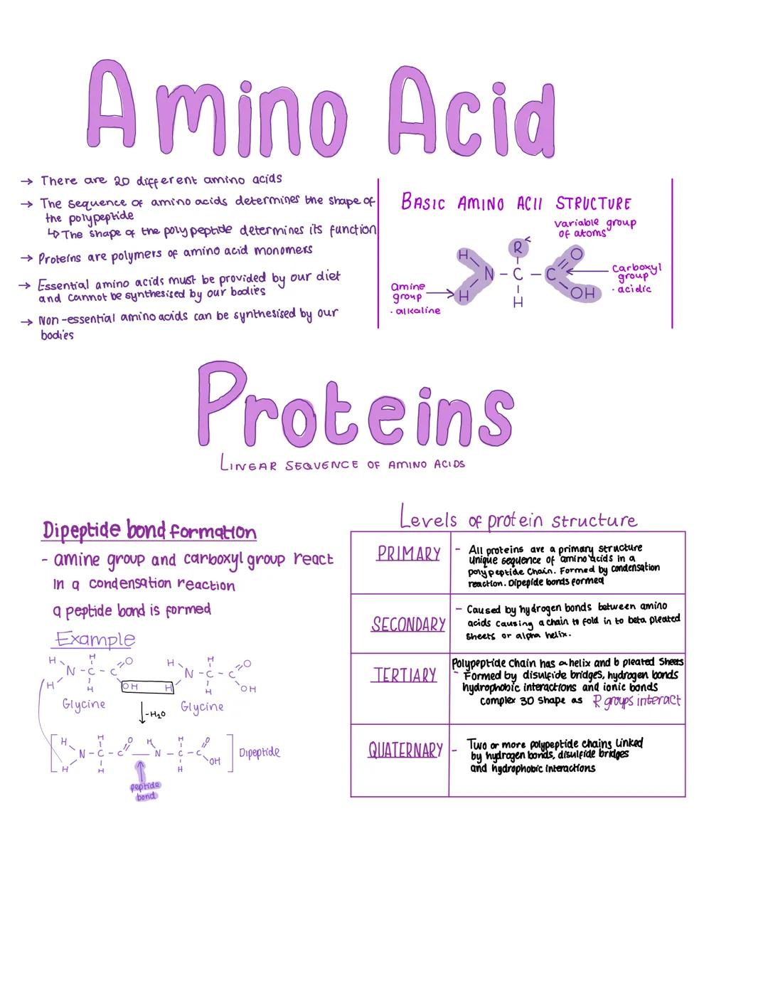 ●
●
Inorganic ions.
All organisms need inorganic ions to survive
micronutrients: minerals needed in minute
concentrations eg copper, zinc
•