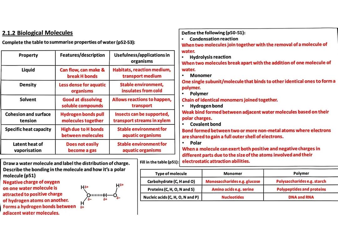 Biological Molecules Summary Sheet