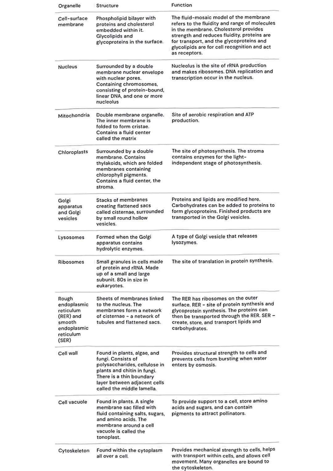 Eukaryotic cells organelles table