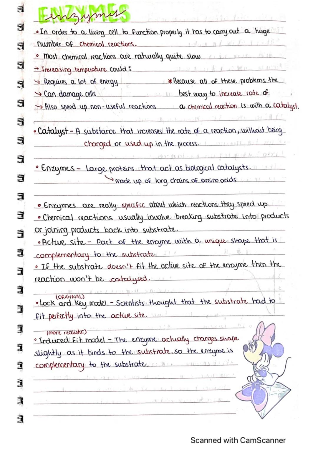 32
774
W
MI
In order to a living cell to function properly it has to carry out a huge.
number of chemical reactions.
โข most chemical reactio