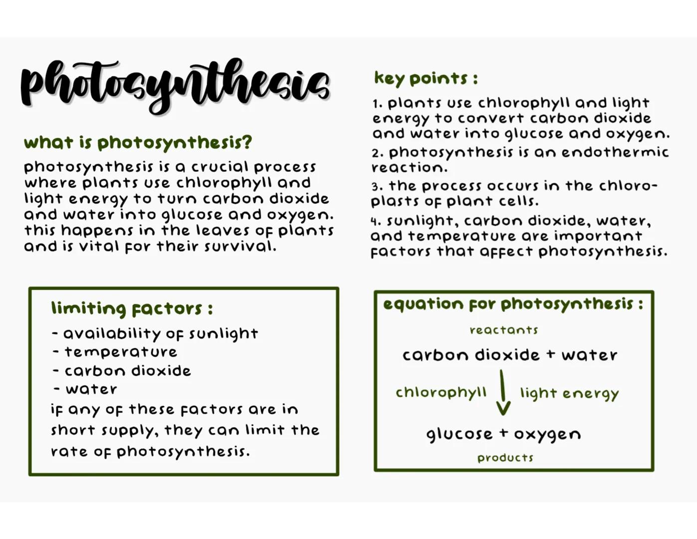photosynthesis
what is photosynthesis?
photosynthesis is a crucial process
where plants use chlorophyll and
light energy to turn carbon di