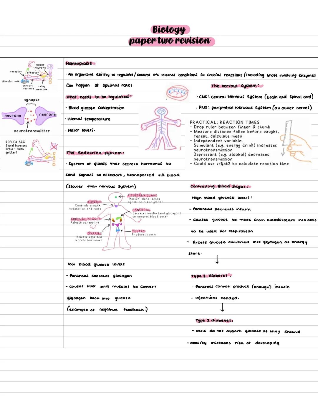 Paper 2 revision notes