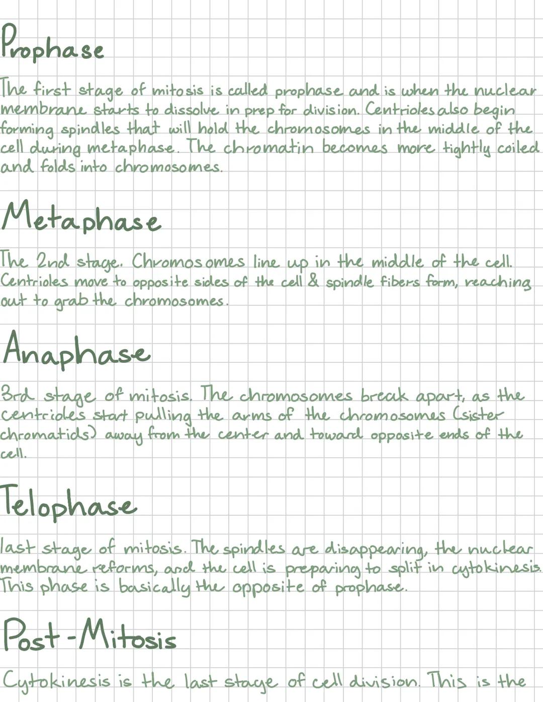 # Mitosis
Mitosis is when the nucleus of the cell divides and has 4 phases-
Prophase Metaphase
Anaphase Telophase
Mitosis occurs in all
