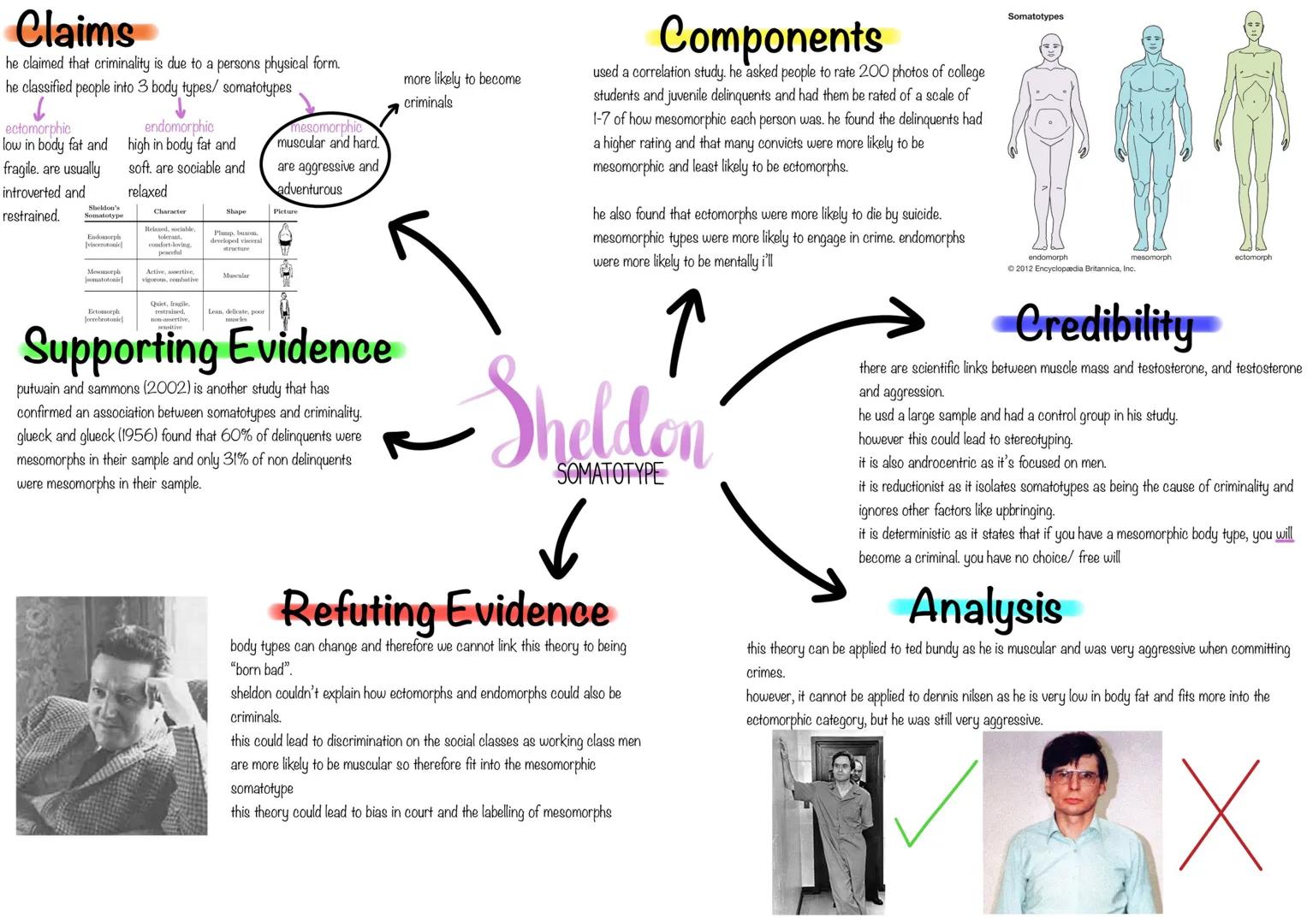 # Claims
he claimed that criminality is due to a persons physical form.
he classified people into 3 body types/ somatotypes
↓
ectomorphic