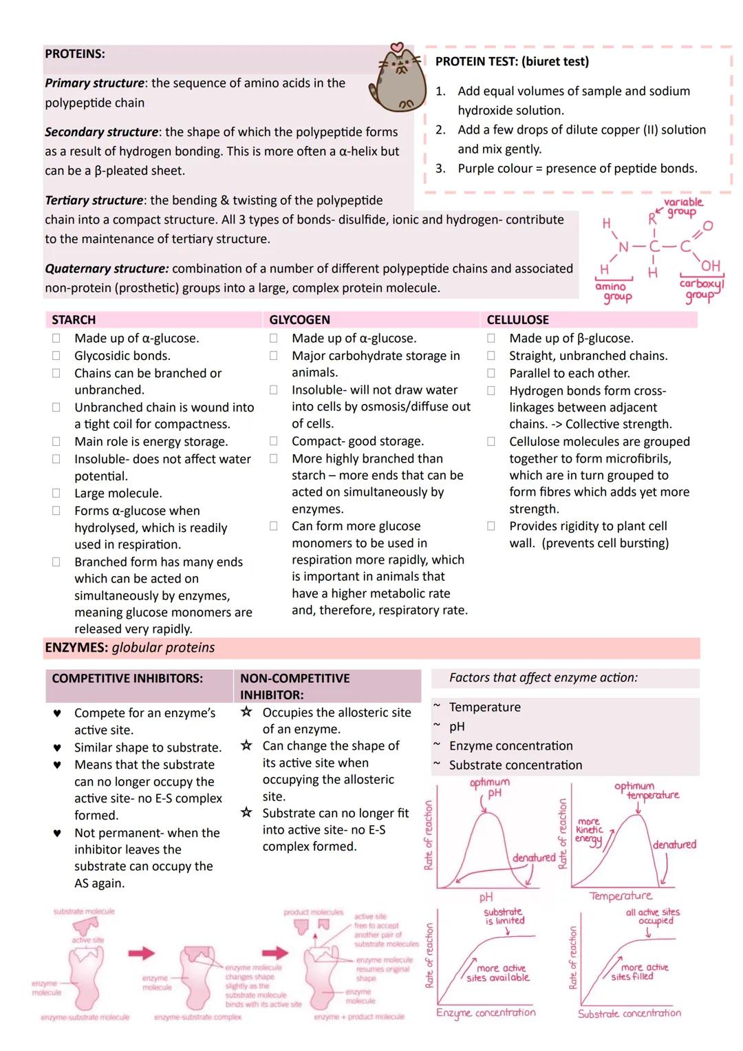 Year 1
A-LEVEL
BIOLOGY
AQA UNIT 1 BIOLOGICAL MOLECULES
BONDS
0
H
H
Phosphodiester
MONOMER
POLYMER
Nucleotides
Monosaccharides
Polynucleotide