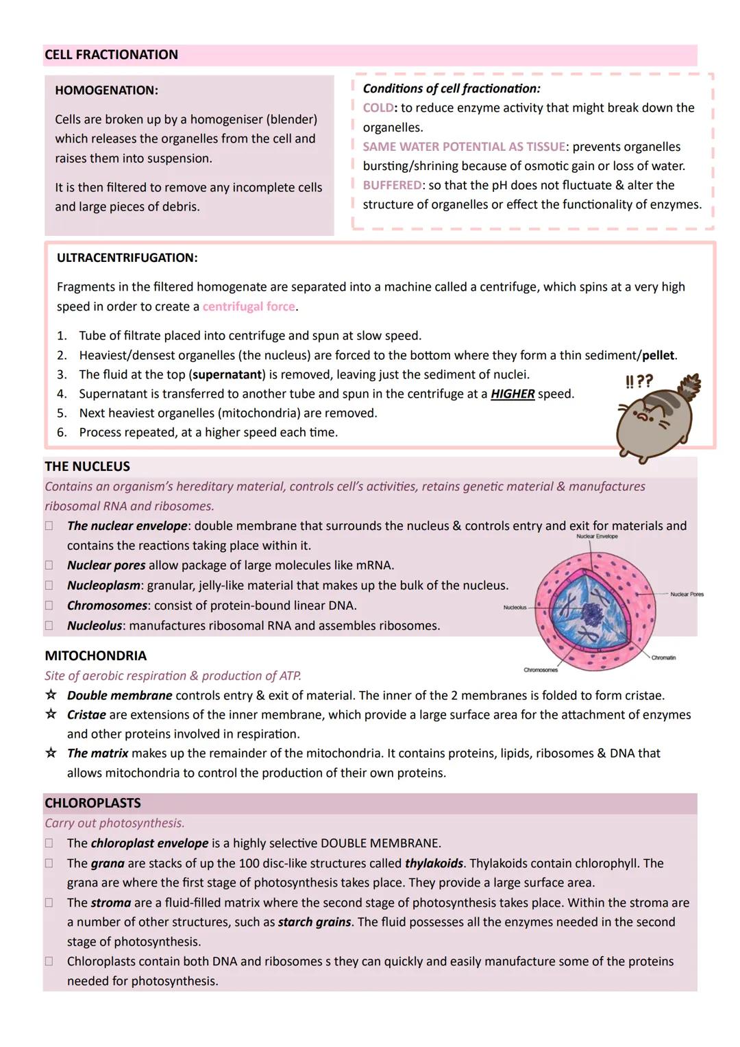Year 1
A-LEVEL
BIOLOGY
AQA UNIT 1 BIOLOGICAL MOLECULES
BONDS
0
H
H
Phosphodiester
MONOMER
POLYMER
Nucleotides
Monosaccharides
Polynucleotide