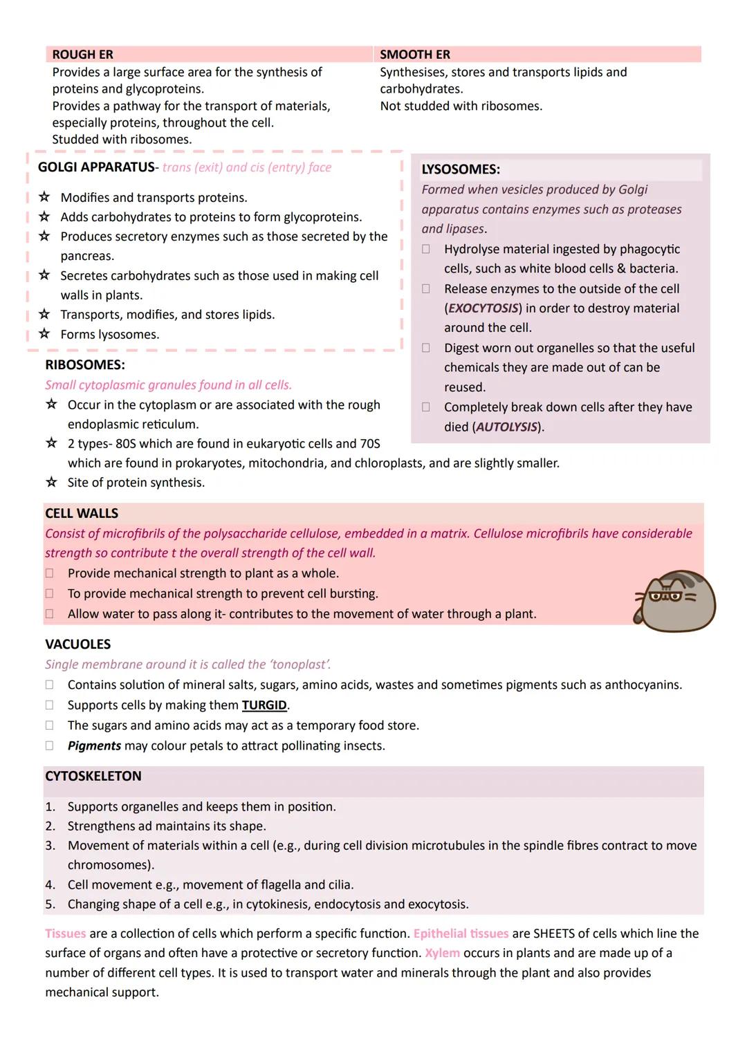 Year 1
A-LEVEL
BIOLOGY
AQA UNIT 1 BIOLOGICAL MOLECULES
BONDS
0
H
H
Phosphodiester
MONOMER
POLYMER
Nucleotides
Monosaccharides
Polynucleotide