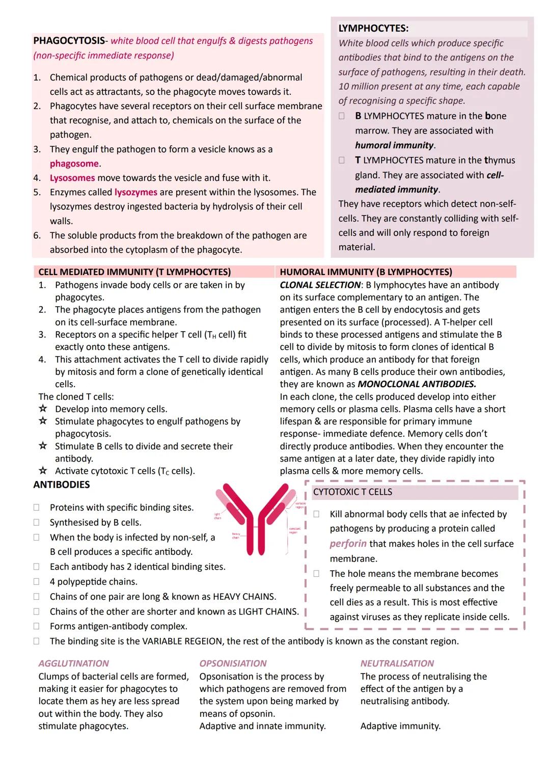 Year 1
A-LEVEL
BIOLOGY
AQA UNIT 1 BIOLOGICAL MOLECULES
BONDS
0
H
H
Phosphodiester
MONOMER
POLYMER
Nucleotides
Monosaccharides
Polynucleotide