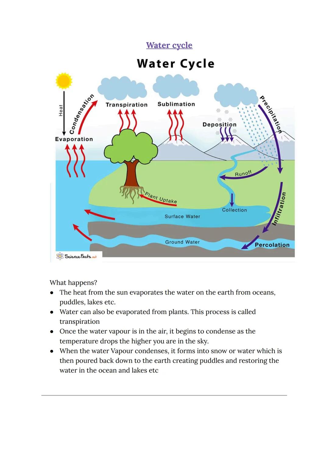Carbon cycle
CO, in the air
Burning
Photosynthesis
animal
Products made
from plants and
animals
plant
respiration
CO₂
respiration
released
C