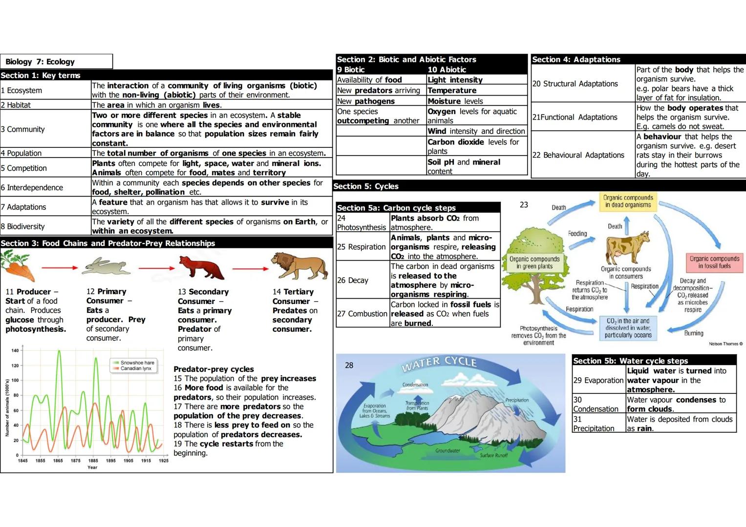 Biology 7: Ecology
Section 1: Key terms
1 Ecosystem
2 Habitat
3 Community
4 Population
5 Competition
6 Interdependence
7 Adaptations
8 Biodi