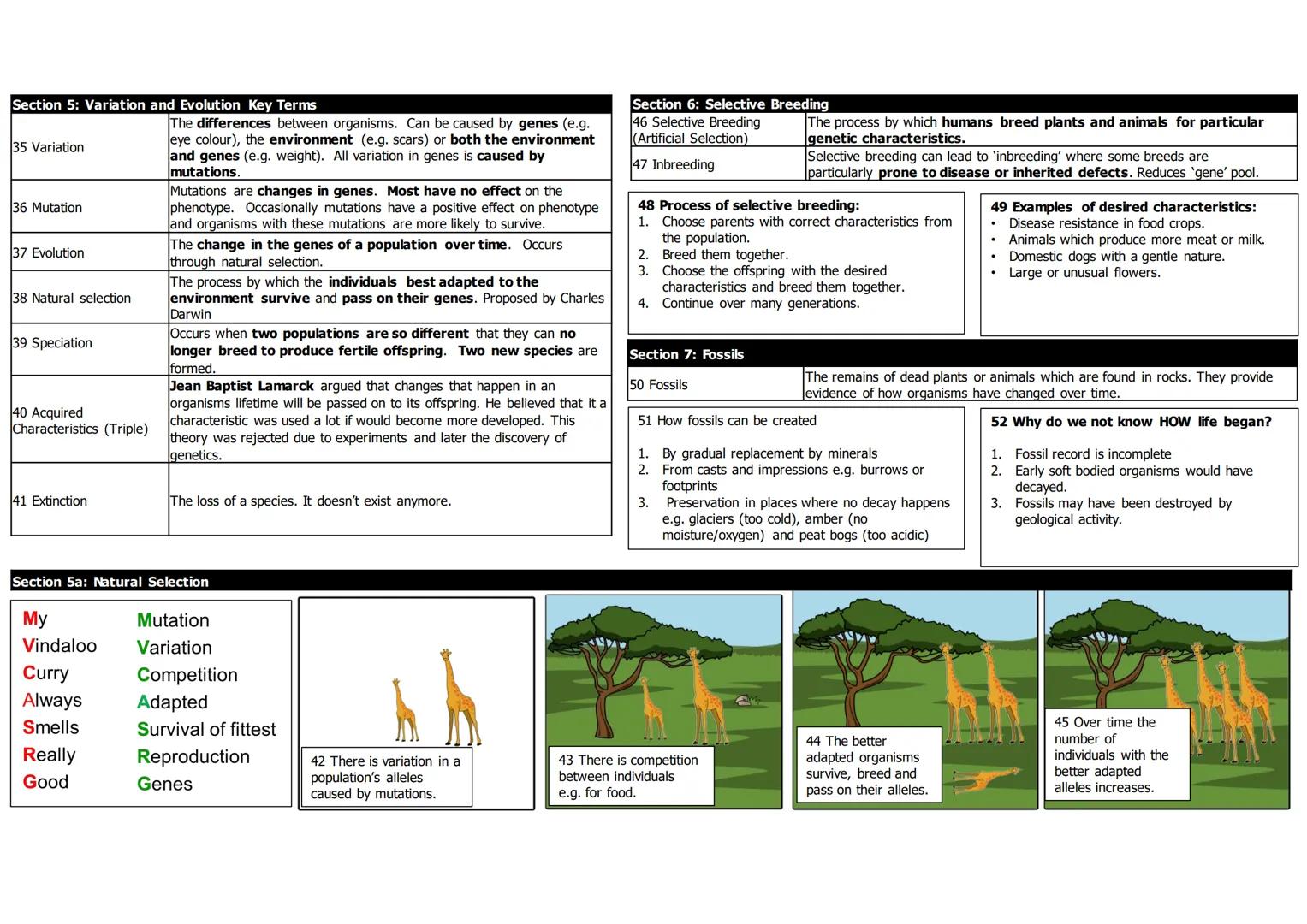 Biology 6: Inheritance, Variation, Evolution
Section 1a: Sexual and Asexual Reproduction
1 Sexual Reproduction Reproduction involving the fu
