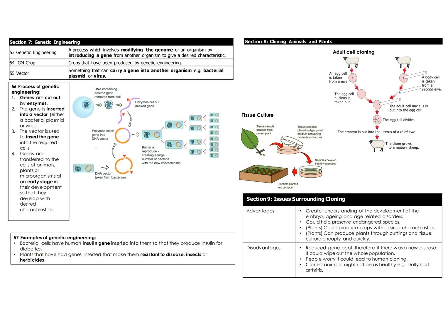Biology 6: Inheritance, Variation, Evolution
Section 1a: Sexual and Asexual Reproduction
1 Sexual Reproduction Reproduction involving the fu