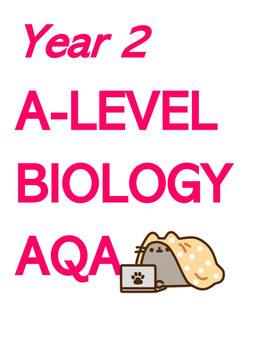 # Year 2
# A-LEVEL
# BIOLOGY
# AQA # ENERGY TRANSFER IN AND BETWEEN ORGANISMS
PHOTOSYNTHESIS:
CHLOROPLASTS:
- Double envelope.
- Thyla