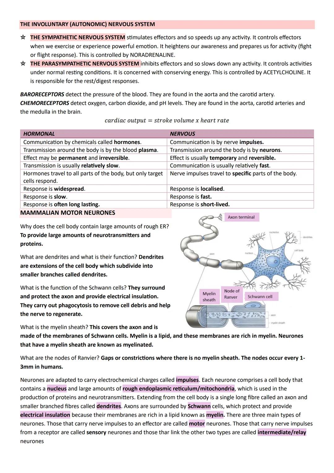 # Year 2
# A-LEVEL
# BIOLOGY
# AQA # ENERGY TRANSFER IN AND BETWEEN ORGANISMS
PHOTOSYNTHESIS:
CHLOROPLASTS:
- Double envelope.
- Thyla