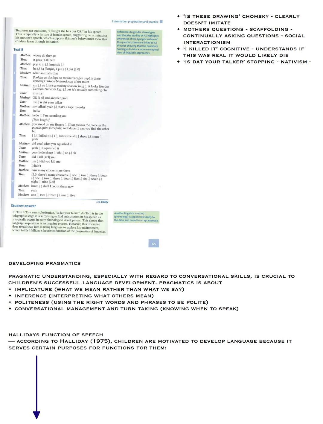 INTRODUCING CHILD LANGUAGE ACQUISITION
ASSUMPTIONS ABOUT CHILD LANGUAGE
BABIES MAY NOT PRODUCE LANGUAGE UNTIL NEARLY TWO YEARS OLD BABIES AQ