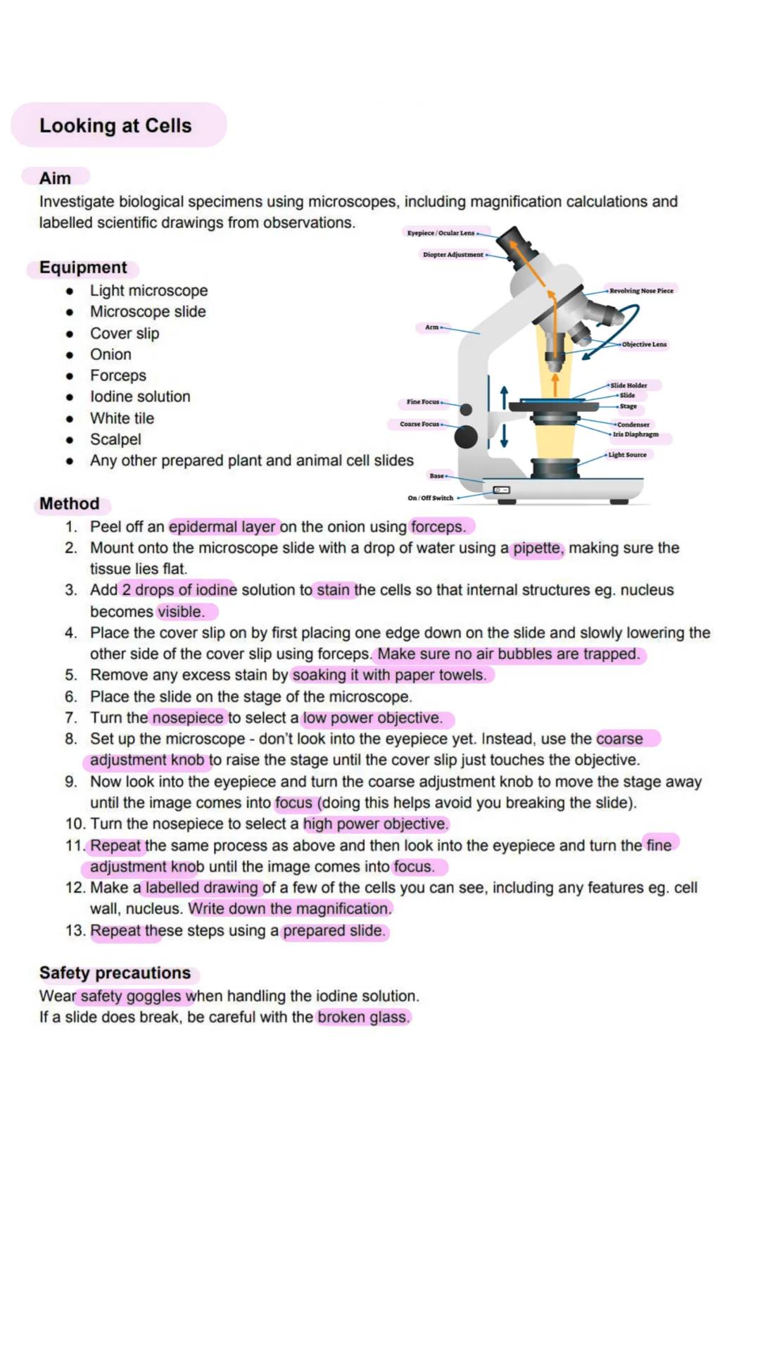 # Biology
practicals # Looking at Cells
## Aim
Investigate biological specimens using microscopes, including magnification calculations an