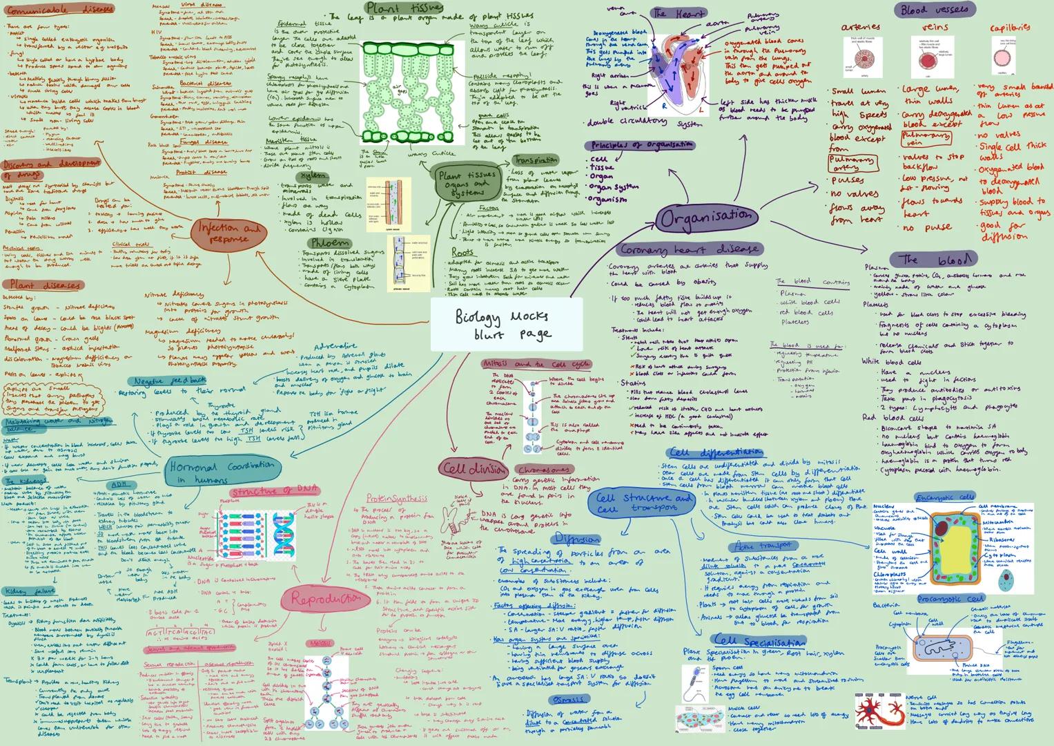 # Communicable diseases
* Human - Virus, Bacteria, Fungi, Protozoa
* Animal - Virus, Bacteria, Fungi, Protozoa
* Plants - Virus, Bact