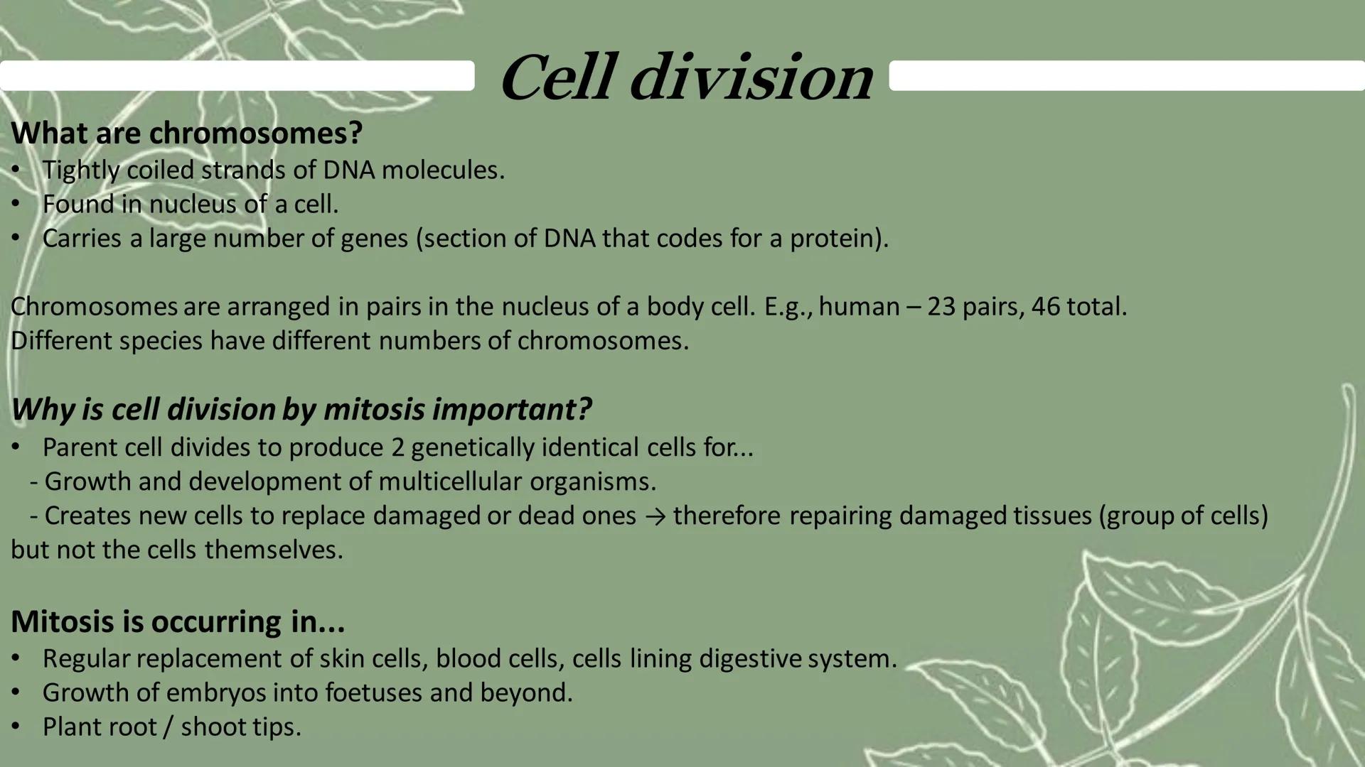 What are chromosomes?
Tightly coiled strands of DNA molecules.
.
Found in nucleus of a cell.
Cell division
• Carries a large number of genes