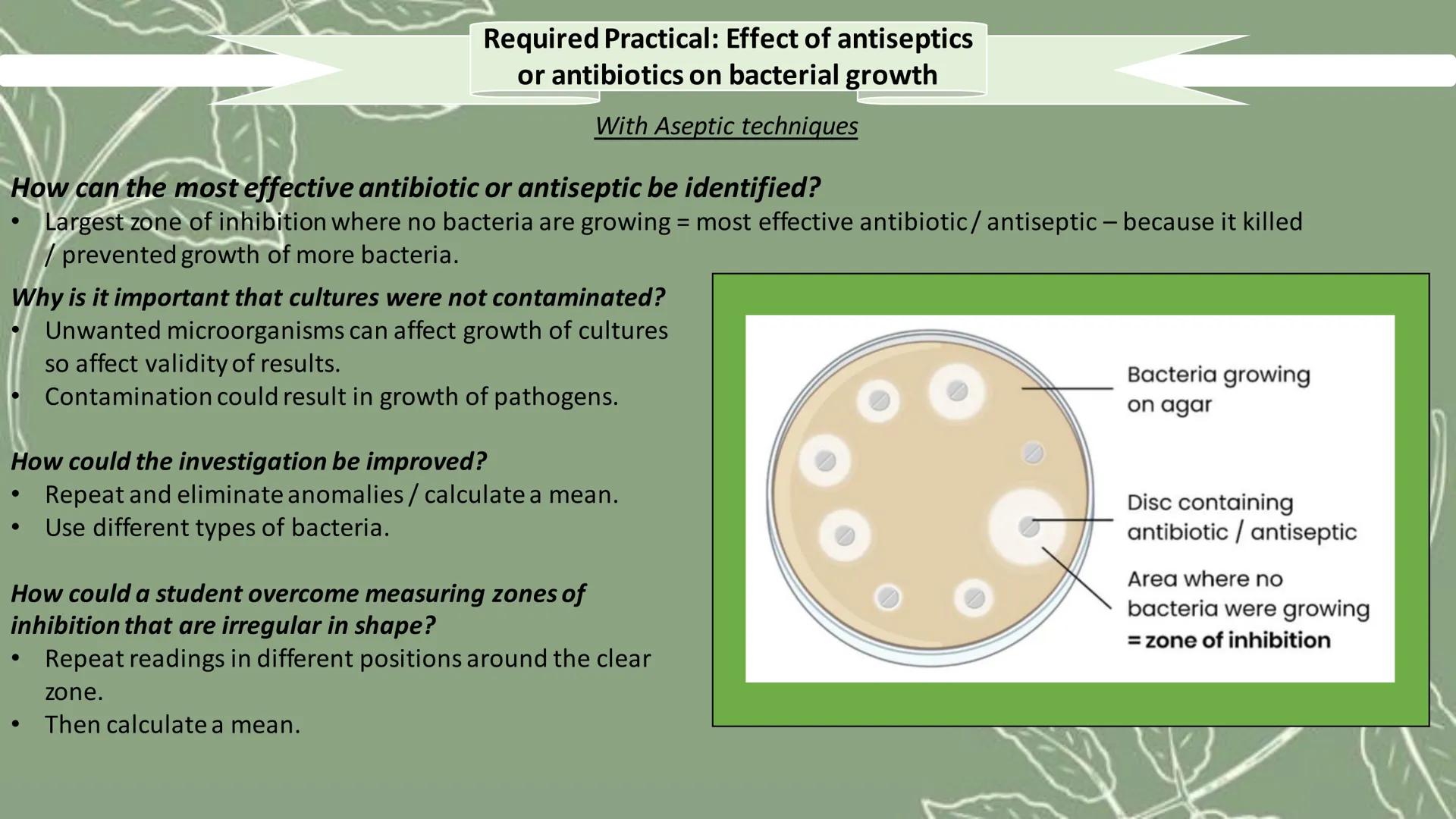 IV - Type of antibiotic / antisepticon disc.
DV - Zone of inhabitation.
Required Practical: Effect of antiseptics
or antibiotics on bacteria